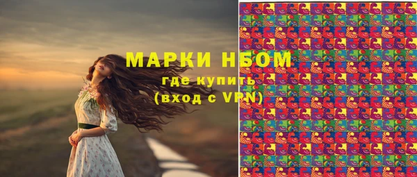 МДПВ Краснослободск