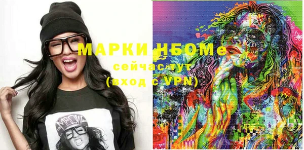 гашик Нестеровская