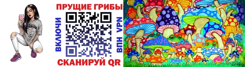 Псилоцибиновые грибы GOLDEN TEACHER Пермь