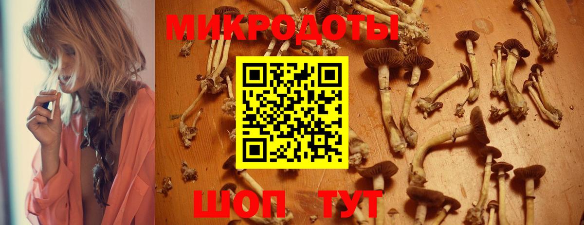 Псилоцибиновые грибы прущие грибы Пермь