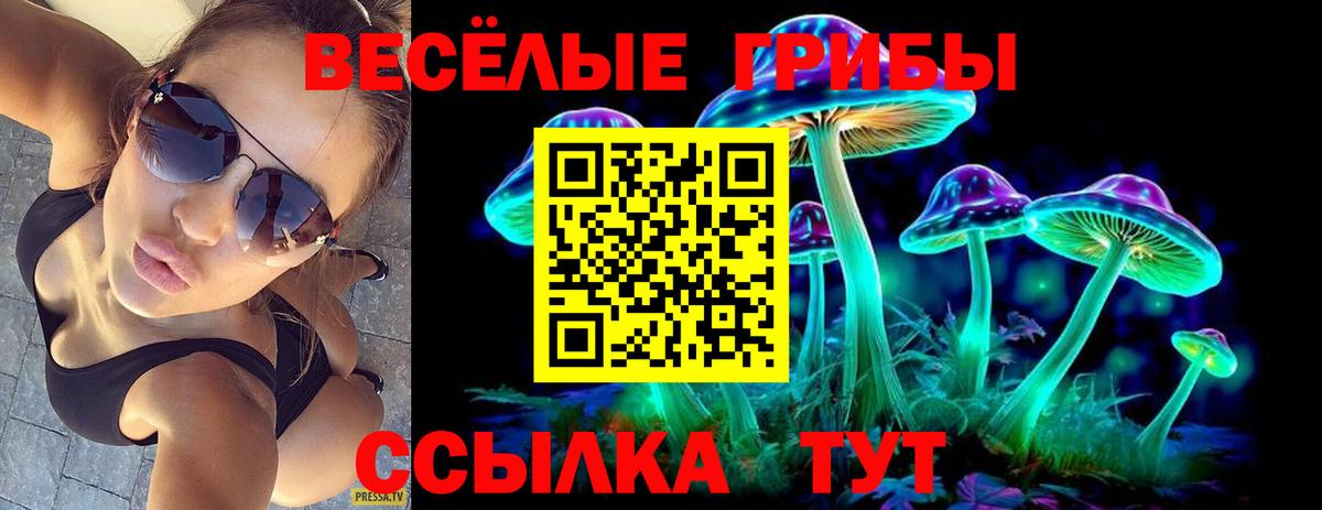 Пермь  Псилоцибиновые грибы MAGIC MUSHROOMS  Вход с VPN 